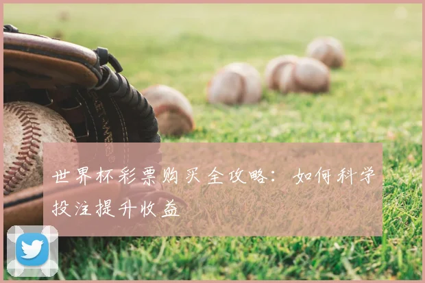 世界杯彩票购买全攻略:如何科学投注提升收益