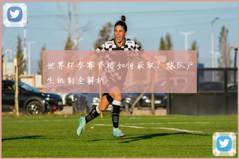 世界杯参赛资格如何获取?球队产生机制全解析