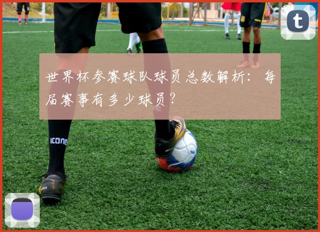 世界杯参赛球队球员总数解析:每届赛事有多少球员?