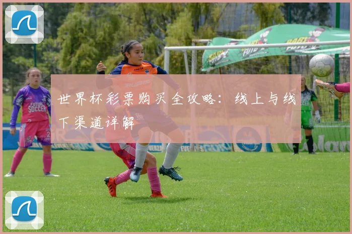 世界杯彩票购买全攻略:线上与线下渠道详解