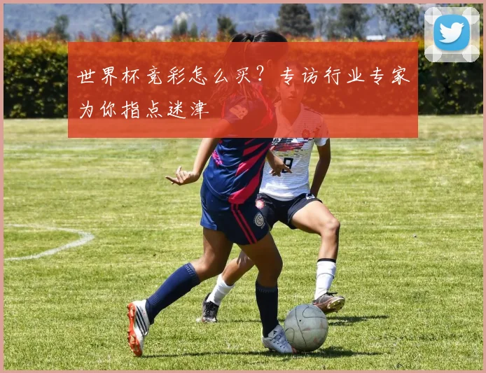 世界杯竞彩怎么买?专访行业专家为你指点迷津