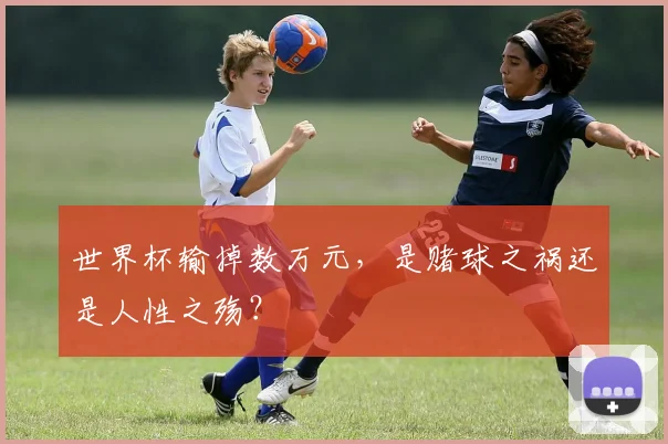 世界杯输掉数万元,是赌球之祸还是人性之殇?