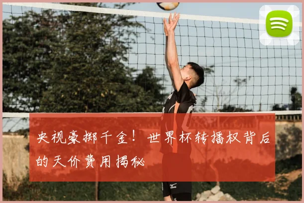 央视豪掷千金！世界杯转播权背后的天价费用揭秘