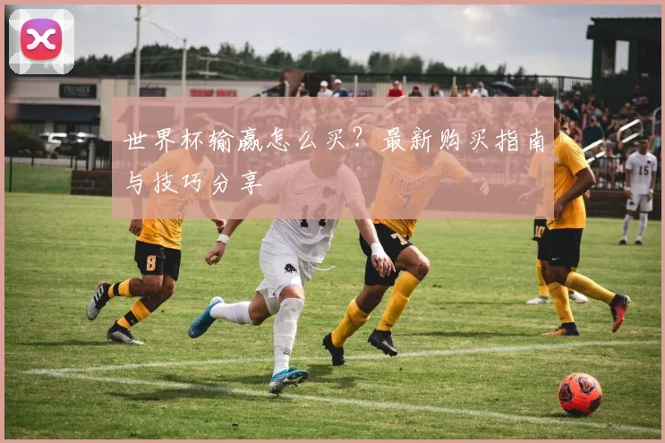 世界杯输赢怎么买?最新购买指南与技巧分享