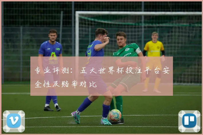 专业评测:五大世界杯投注平台安全性及赔率对比