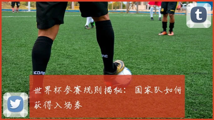 世界杯参赛规则揭秘:国家队如何获得入场券