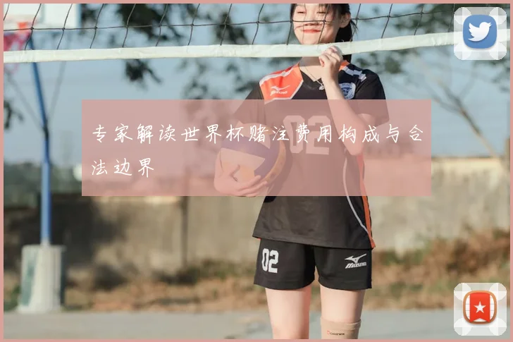 专家解读世界杯赌注费用构成与合法边界