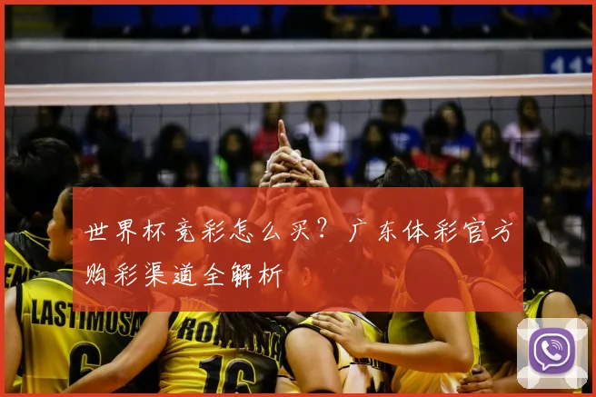 世界杯竞彩怎么买?广东体彩官方购彩渠道全解析