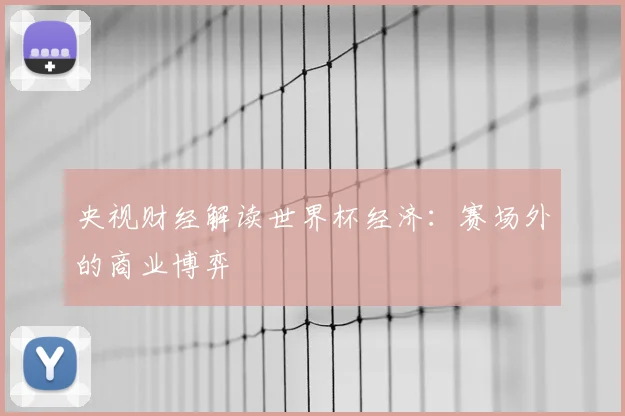 央视财经解读世界杯经济：赛场外的商业博弈