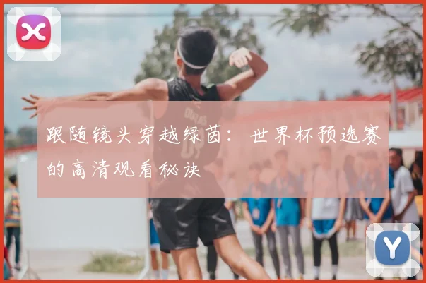 跟随镜头穿越绿茵：世界杯预选赛的高清观看秘诀