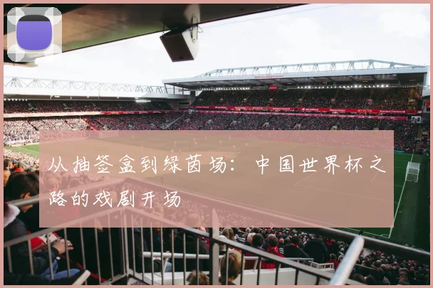 从抽签盒到绿茵场:中国世界杯之路的戏剧开场